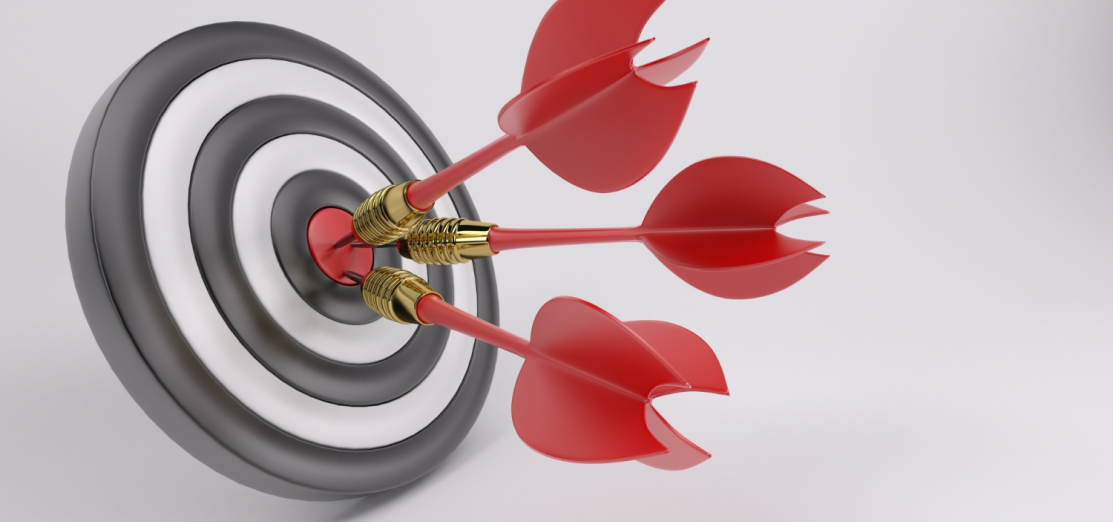Implementation & Launch